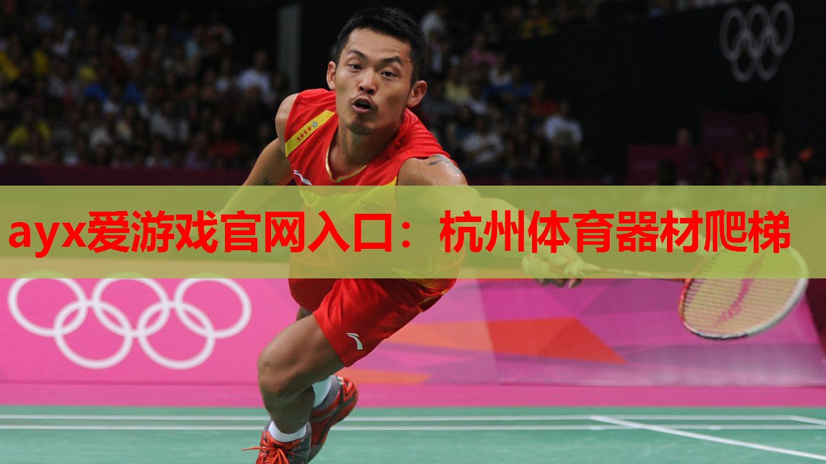杭州体育器材爬梯 杭州体育器材爬梯