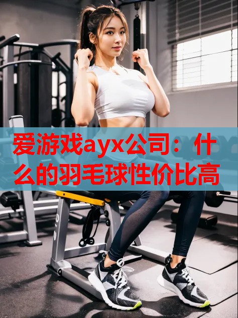 什么的羽毛球性价比高 什么的羽毛球性价比高