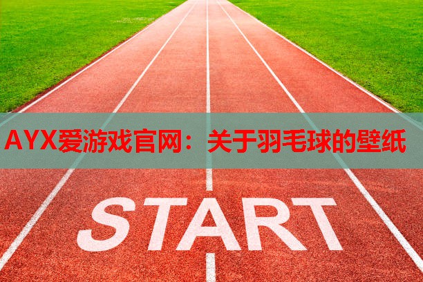 关于羽毛球的壁纸 关于羽毛球的壁纸