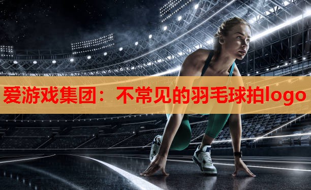 不常见的羽毛球拍logo 不常见的羽毛球拍logo