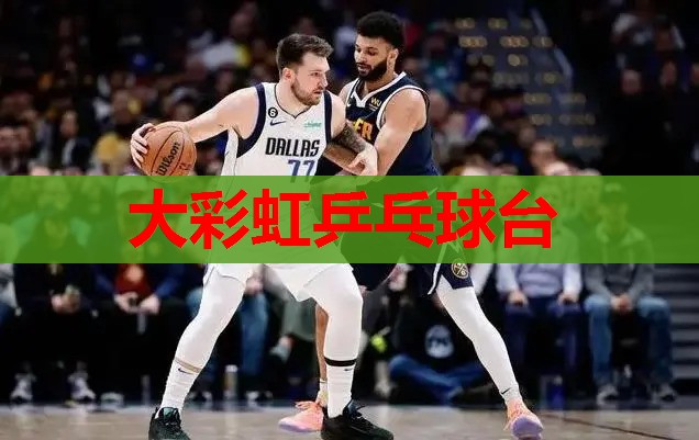 大彩虹乒乓球台 大彩虹乒乓球台