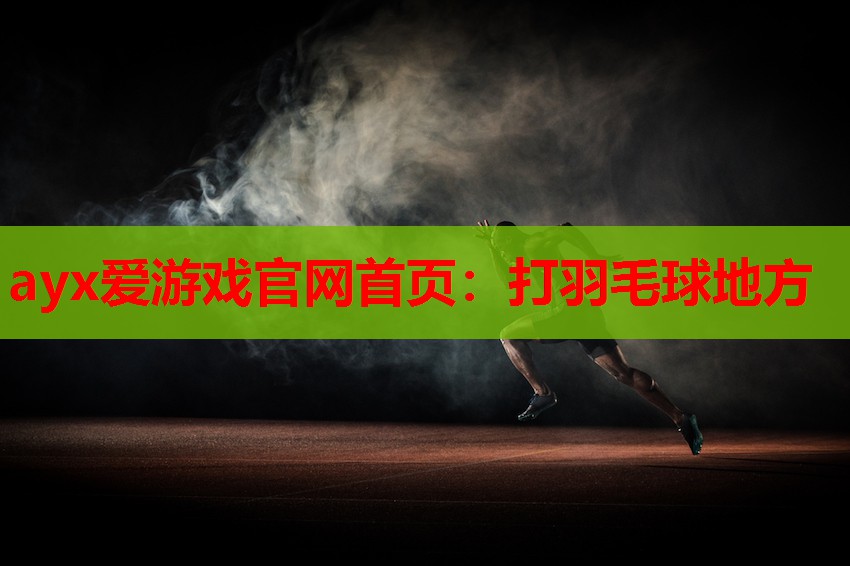 打羽毛球地方 打羽毛球地方