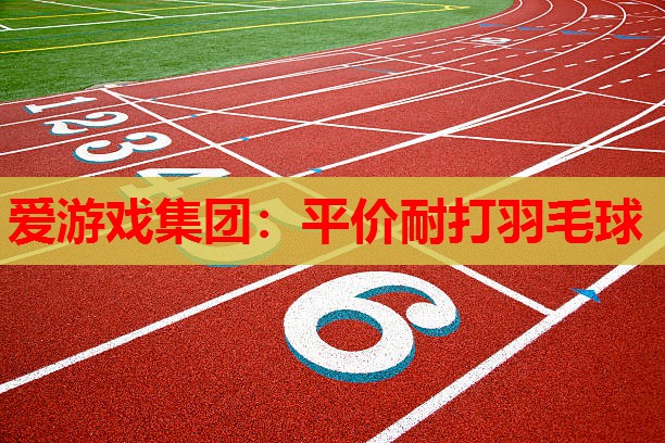 平价耐打羽毛球 平价耐打羽毛球