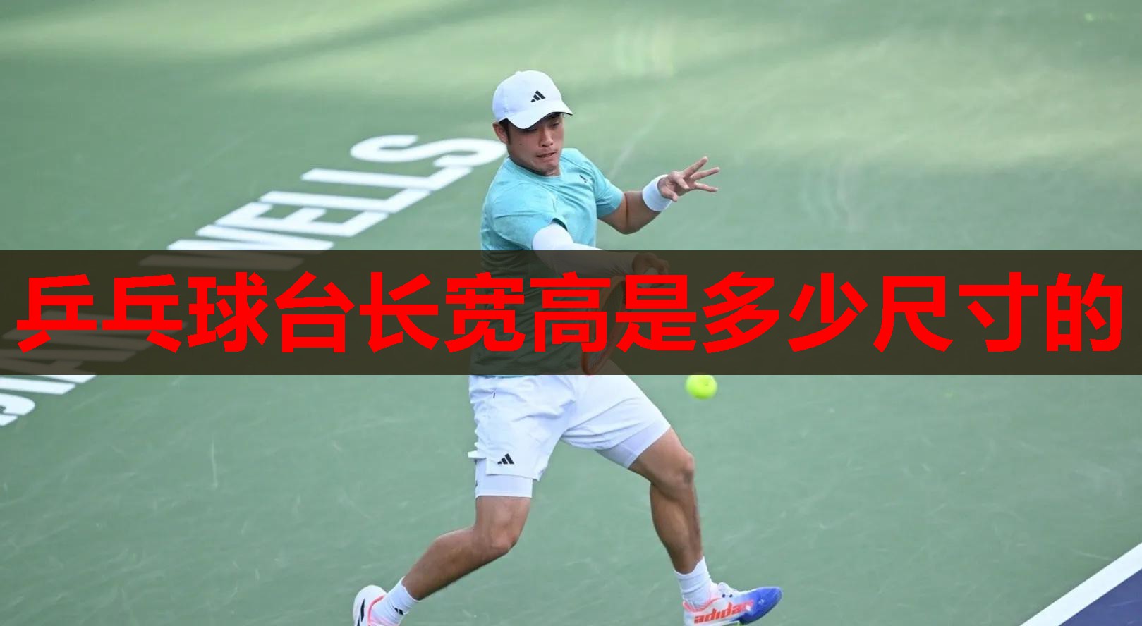 乒乓球台长宽高是多少尺寸的 乒乓球台长宽高是多少尺寸的