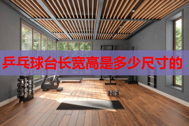乒乓球台长宽高是多少尺寸的 乒乓球台长宽高是多少尺寸的