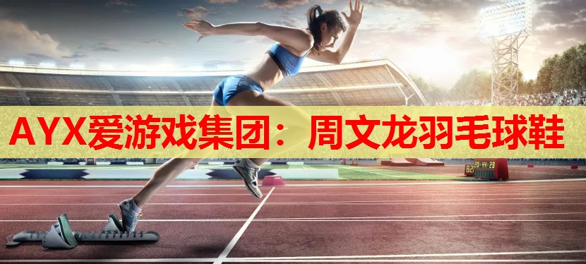 周文龙羽毛球鞋 周文龙羽毛球鞋