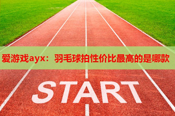 羽毛球拍性价比最高的是哪款 羽毛球拍性价比最高的是哪款