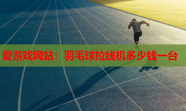 羽毛球拉线机多少钱一台 羽毛球拉线机多少钱一台