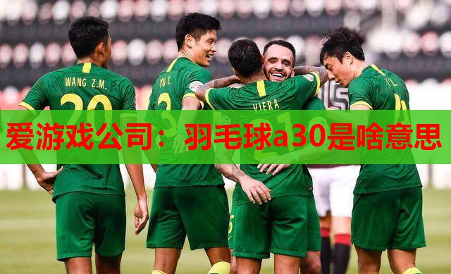 羽毛球a30是啥意思 羽毛球a30是啥意思