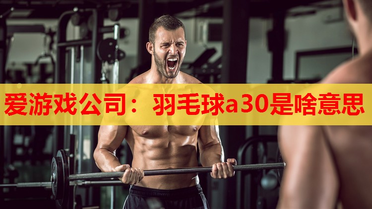 羽毛球a30是啥意思 羽毛球a30是啥意思
