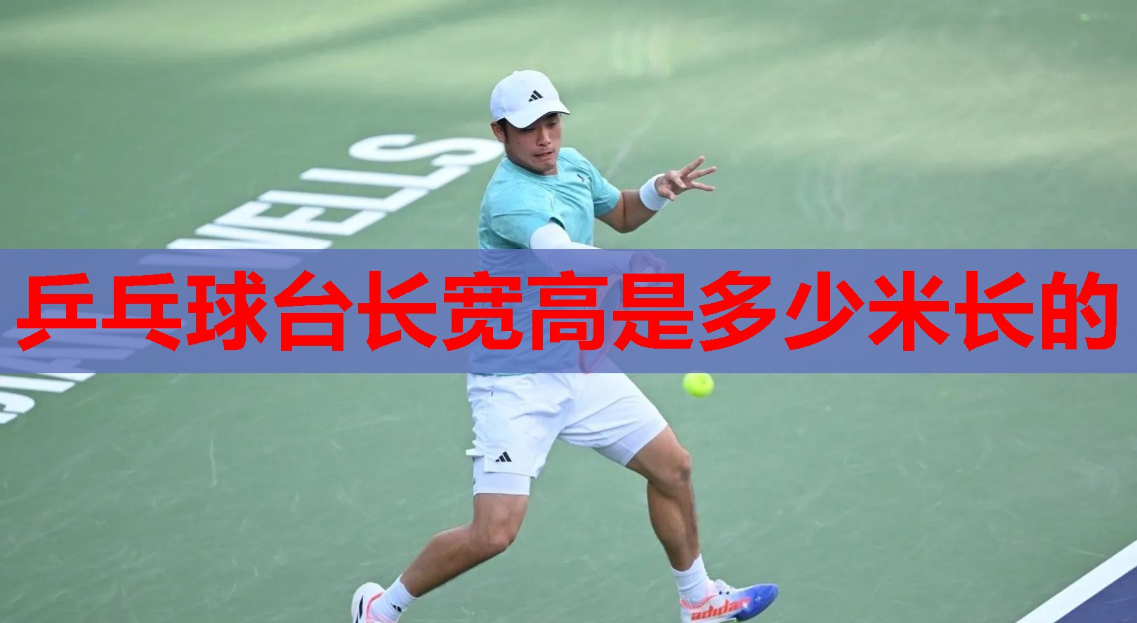 乒乓球台长宽高是多少米长的 乒乓球台长宽高是多少米长的