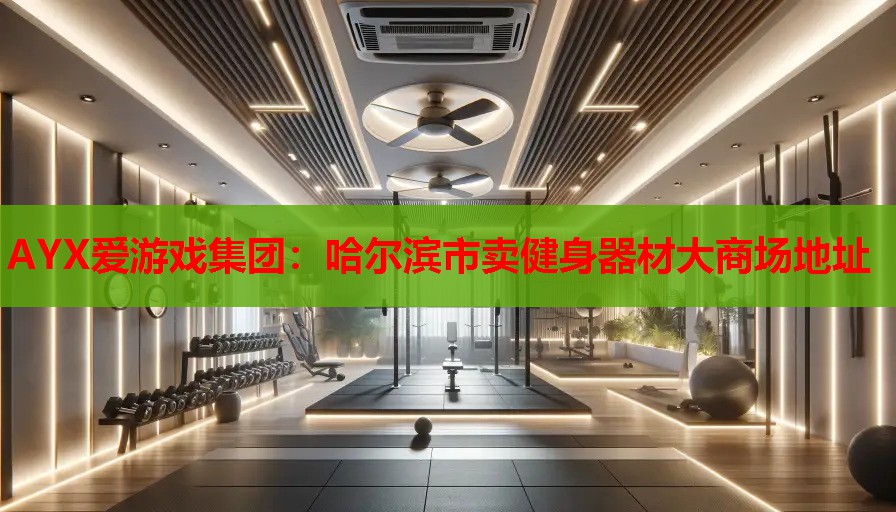 哈尔滨市卖健身器材大商场地址 哈尔滨市卖健身器材大商场地址