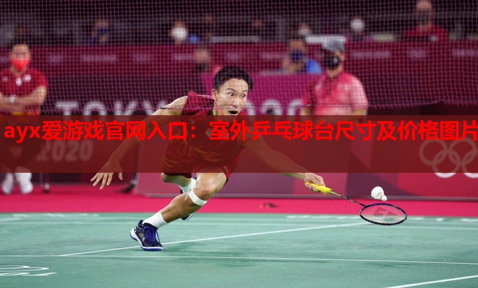 室外乒乓球台尺寸及价格图片 室外乒乓球台尺寸及价格图片
