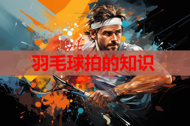 羽毛球拍的知识 羽毛球拍的知识