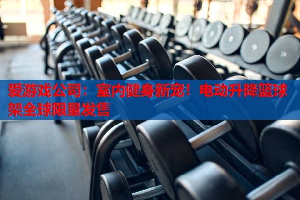 室内健身新宠!电动升降篮球架全球限量发售 室内健身新宠!电动升降篮球架全球限量发售