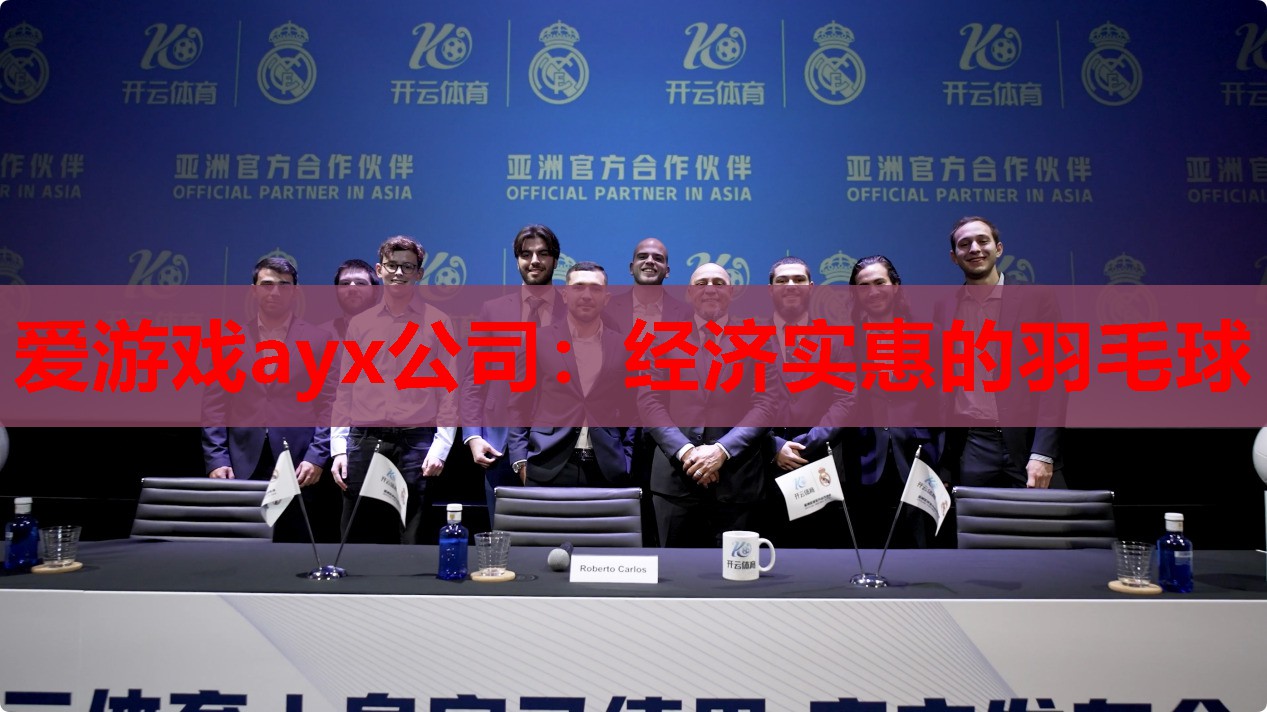 经济实惠的羽毛球 经济实惠的羽毛球
