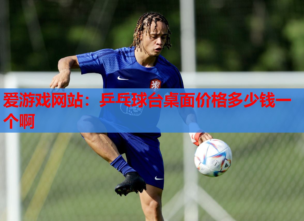 乒乓球台桌面价格多少钱一个啊 乒乓球台桌面价格多少钱一个啊