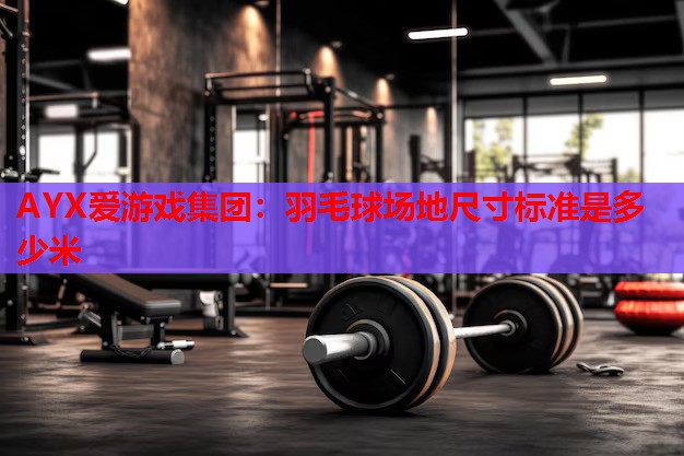 羽毛球场地尺寸标准是多少米 羽毛球场地尺寸标准是多少米