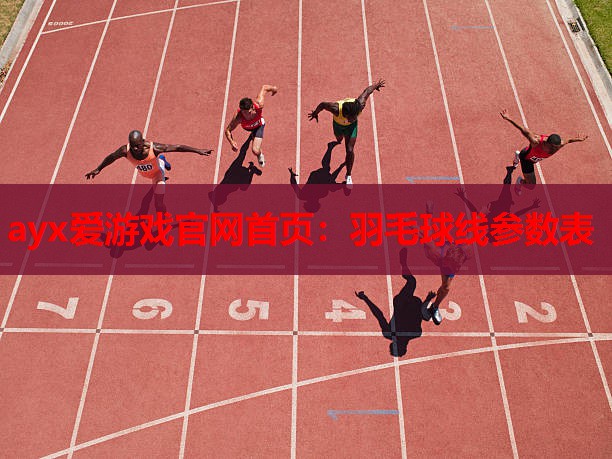羽毛球线参数表 羽毛球线参数表
