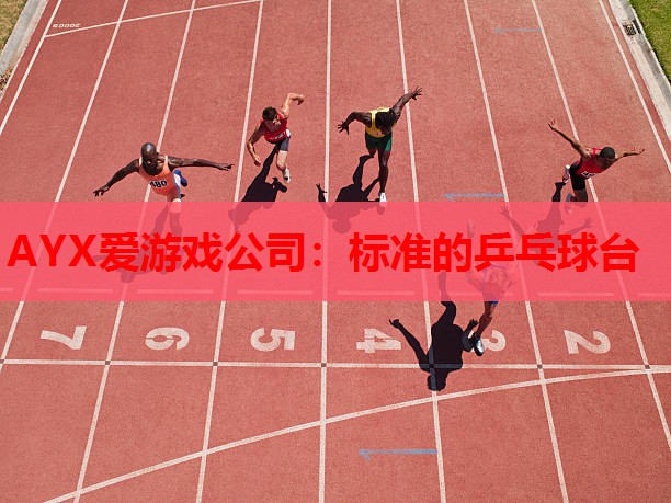 标准的乒乓球台 标准的乒乓球台