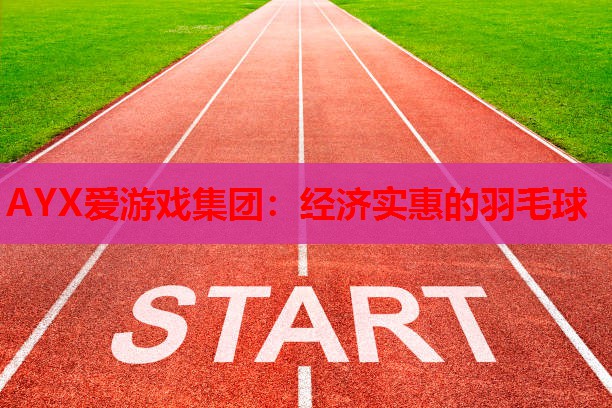 经济实惠的羽毛球 经济实惠的羽毛球