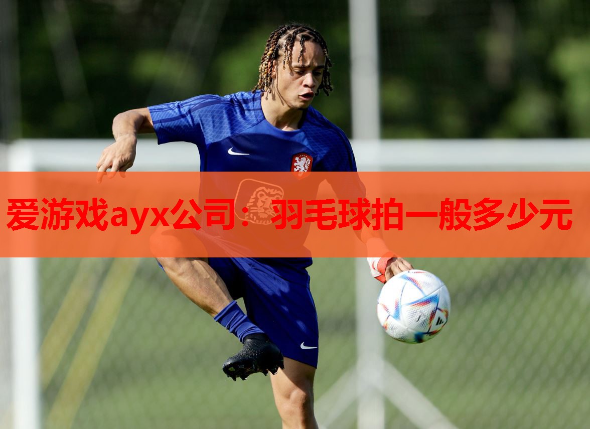 羽毛球拍一般多少元 羽毛球拍一般多少元