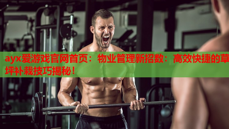 物业管理新招数:高效快捷的草坪补栽技巧揭秘! 物业管理新招数:高效快捷的草坪补栽技巧揭秘!