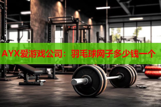 羽毛球网子多少钱一个 羽毛球网子多少钱一个