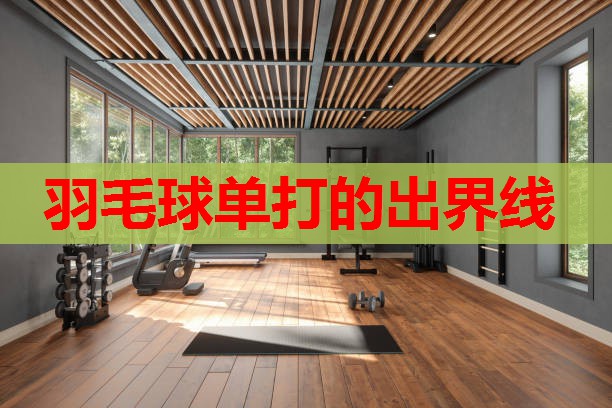 羽毛球单打的出界线 羽毛球单打的出界线