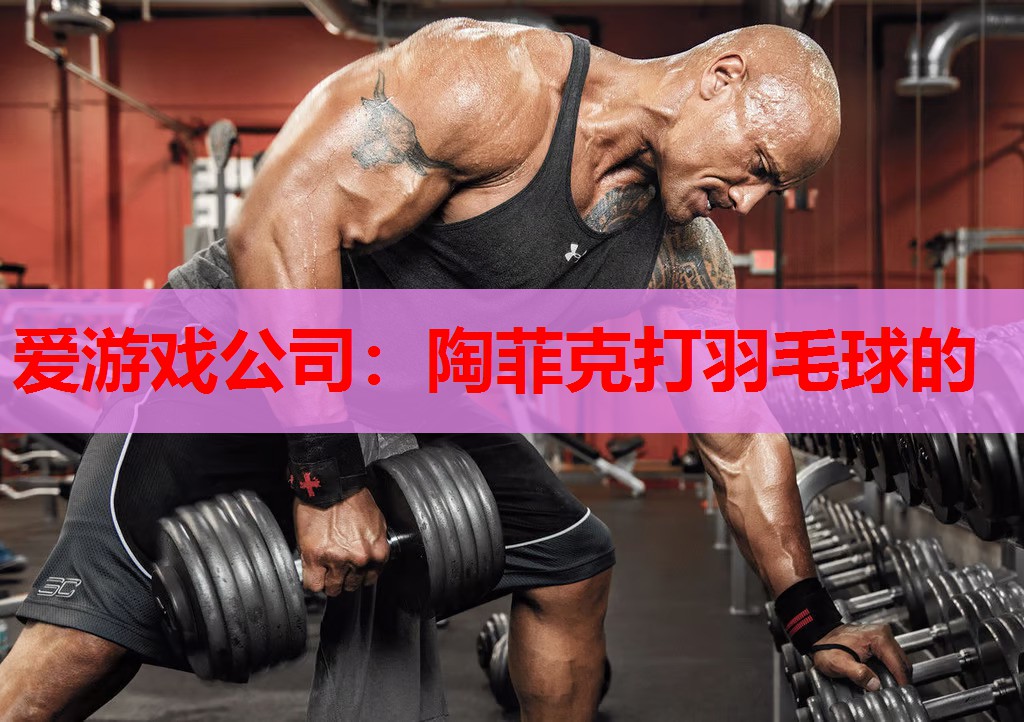 陶菲克打羽毛球的 陶菲克打羽毛球的